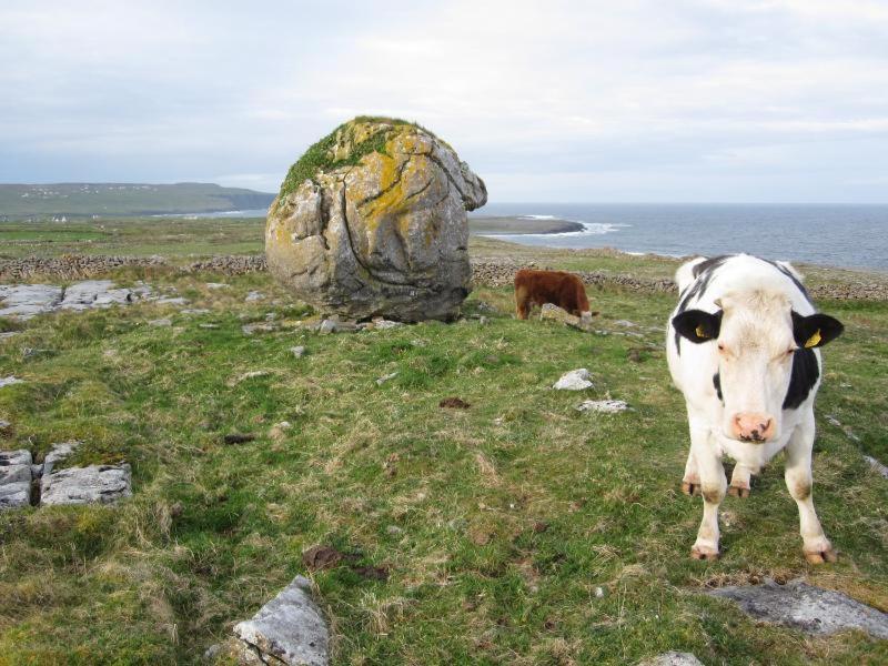 Lanelodge Doolin Exterior photo