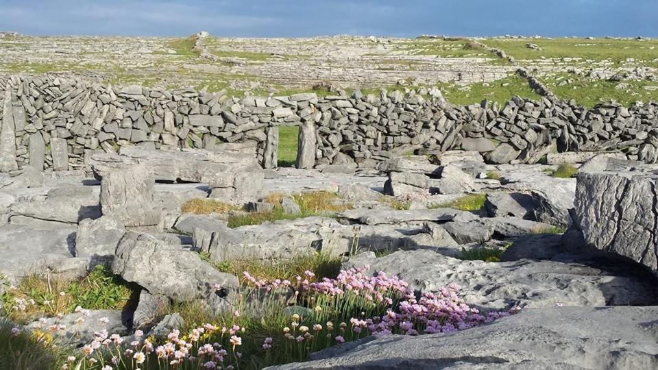 Lanelodge Doolin Exterior photo